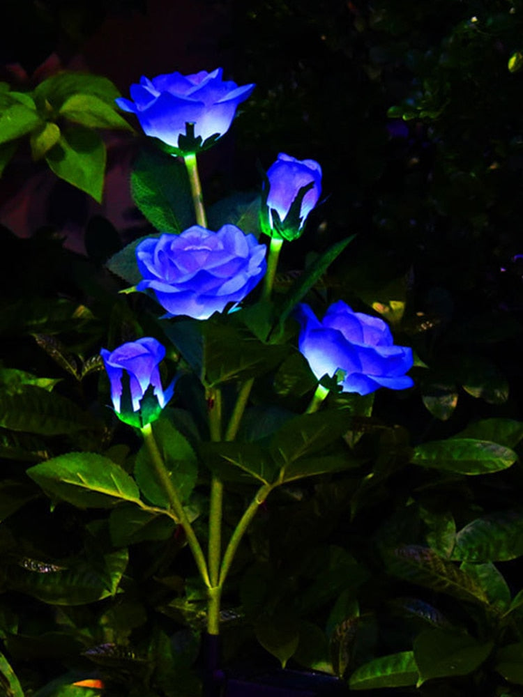 Solar Rose Flowers Lights