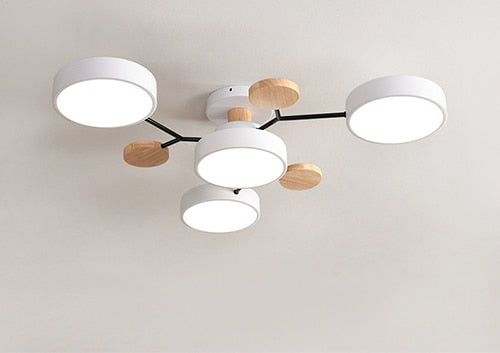 Modern Living LED Ceiling Lamp