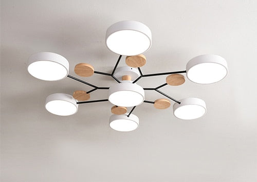 Modern Living LED Ceiling Lamp