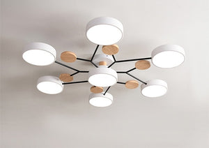 Modern Living LED Ceiling Lamp