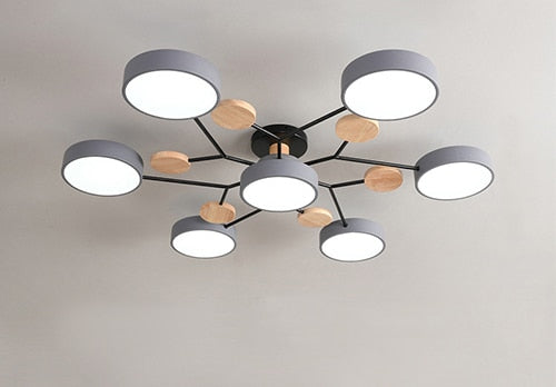 Modern Living LED Ceiling Lamp