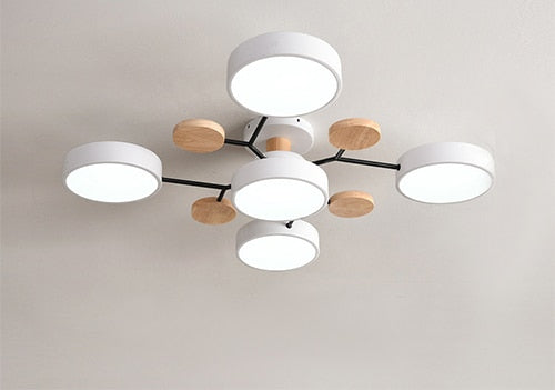 Modern Living LED Ceiling Lamp