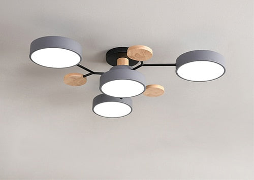 Modern Living LED Ceiling Lamp