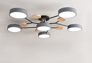 Modern Living LED Ceiling Lamp