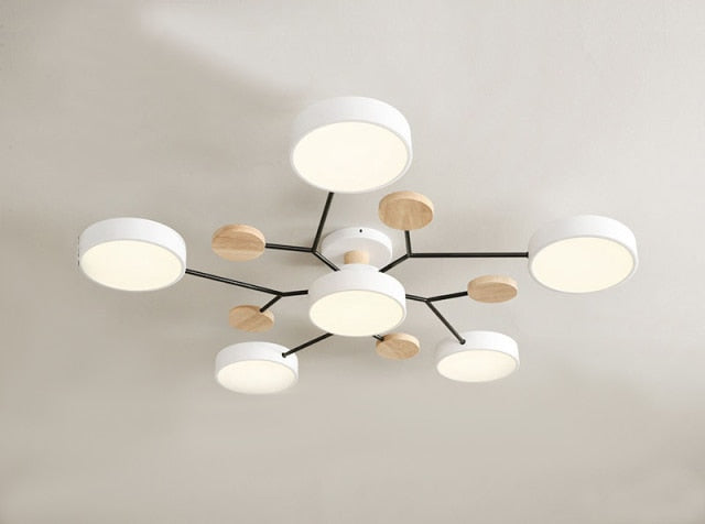 Modern Living LED Ceiling Lamp