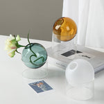 Load image into Gallery viewer, Spherical Hydroponic Transparent Vase
