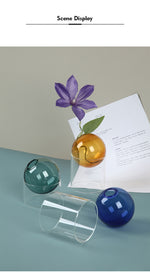 Load image into Gallery viewer, Spherical Hydroponic Transparent Vase
