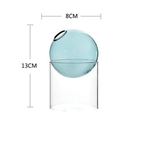 Spherical Hydroponic Transparent Vase