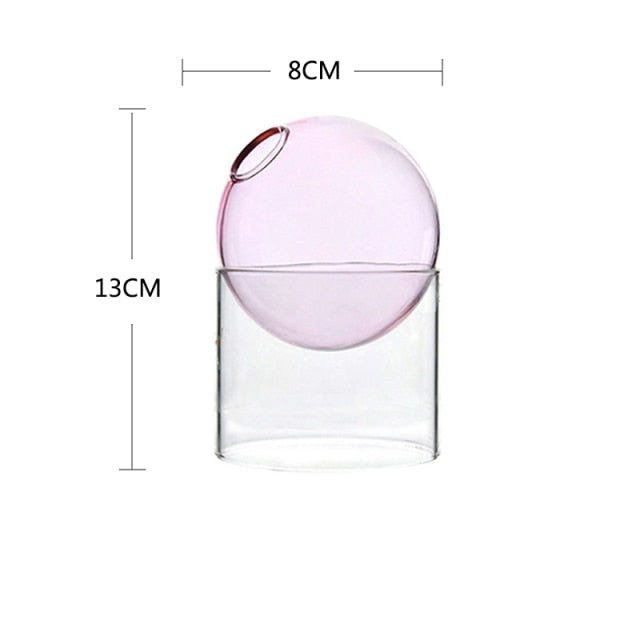 Spherical Hydroponic Transparent Vase